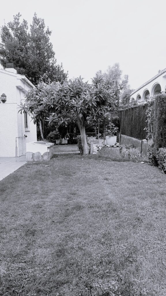 IMG202402091123451