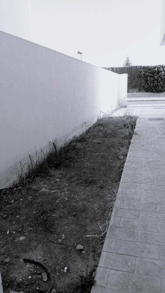 IMG202408120816151