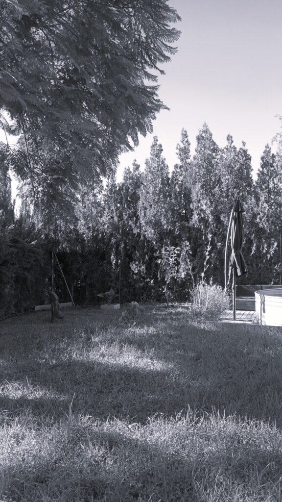 IMG202409261029231