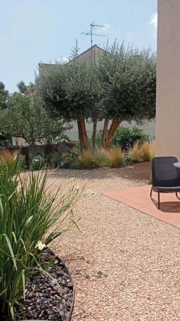 IMG_20250711_175714_562
