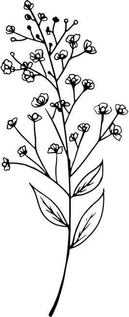diseño exterior de viviendas valencia