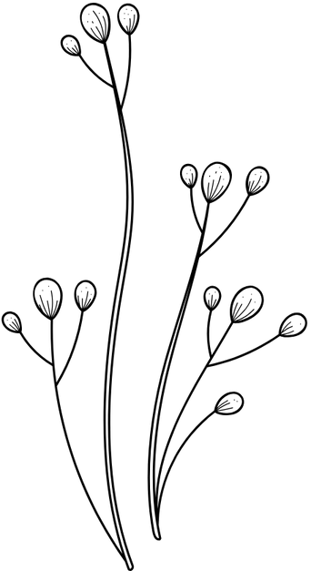 diseño de zonas verdes valencia