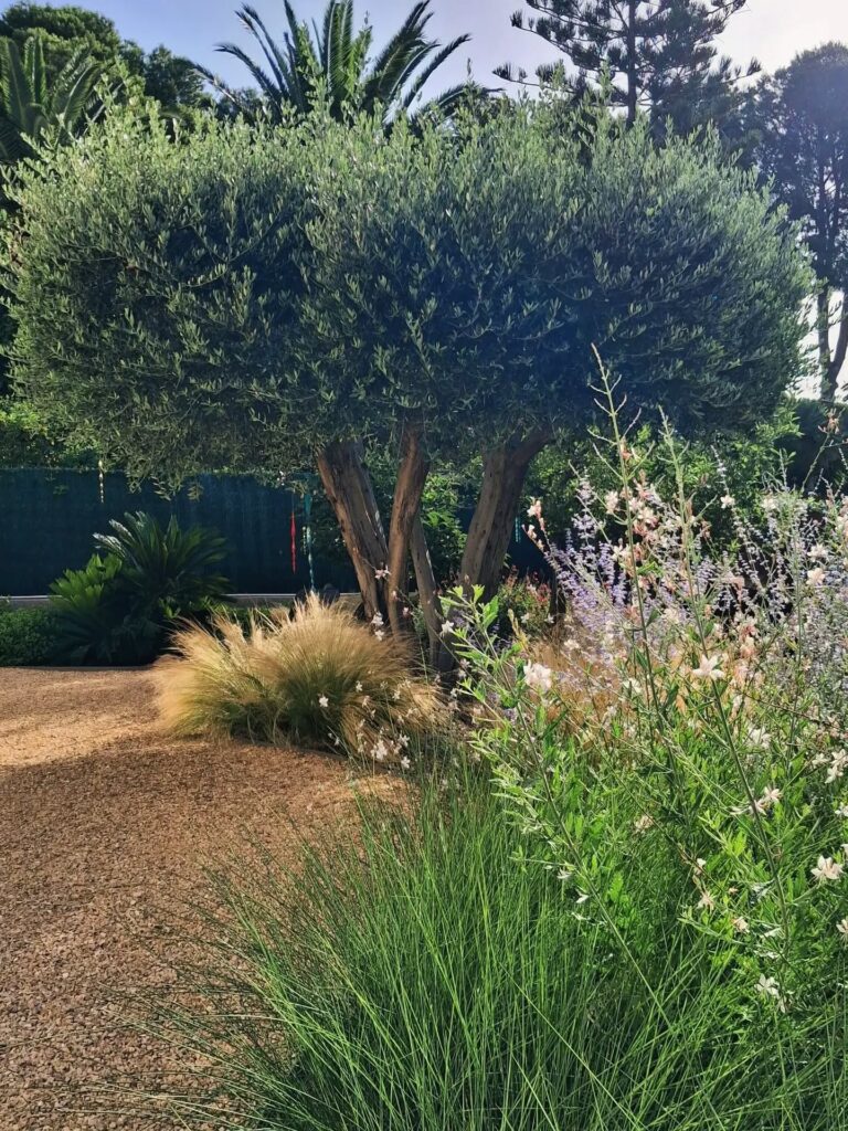 Instagram post from florisimo.jardines. This post is in position 1.