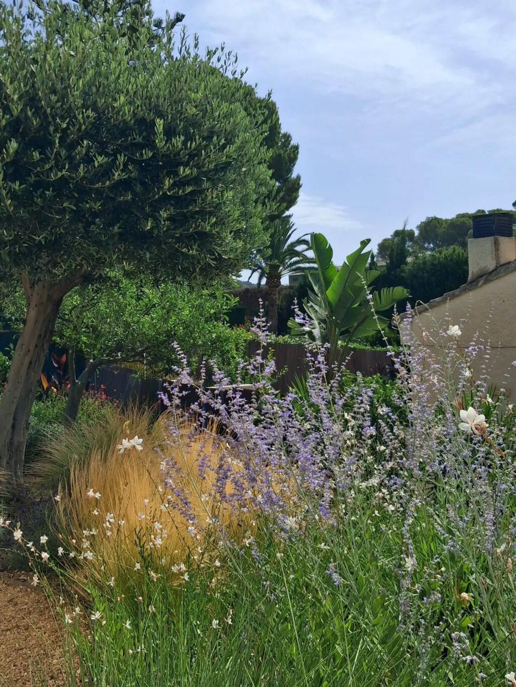 Instagram post from florisimo.jardines. This post is in position 4.