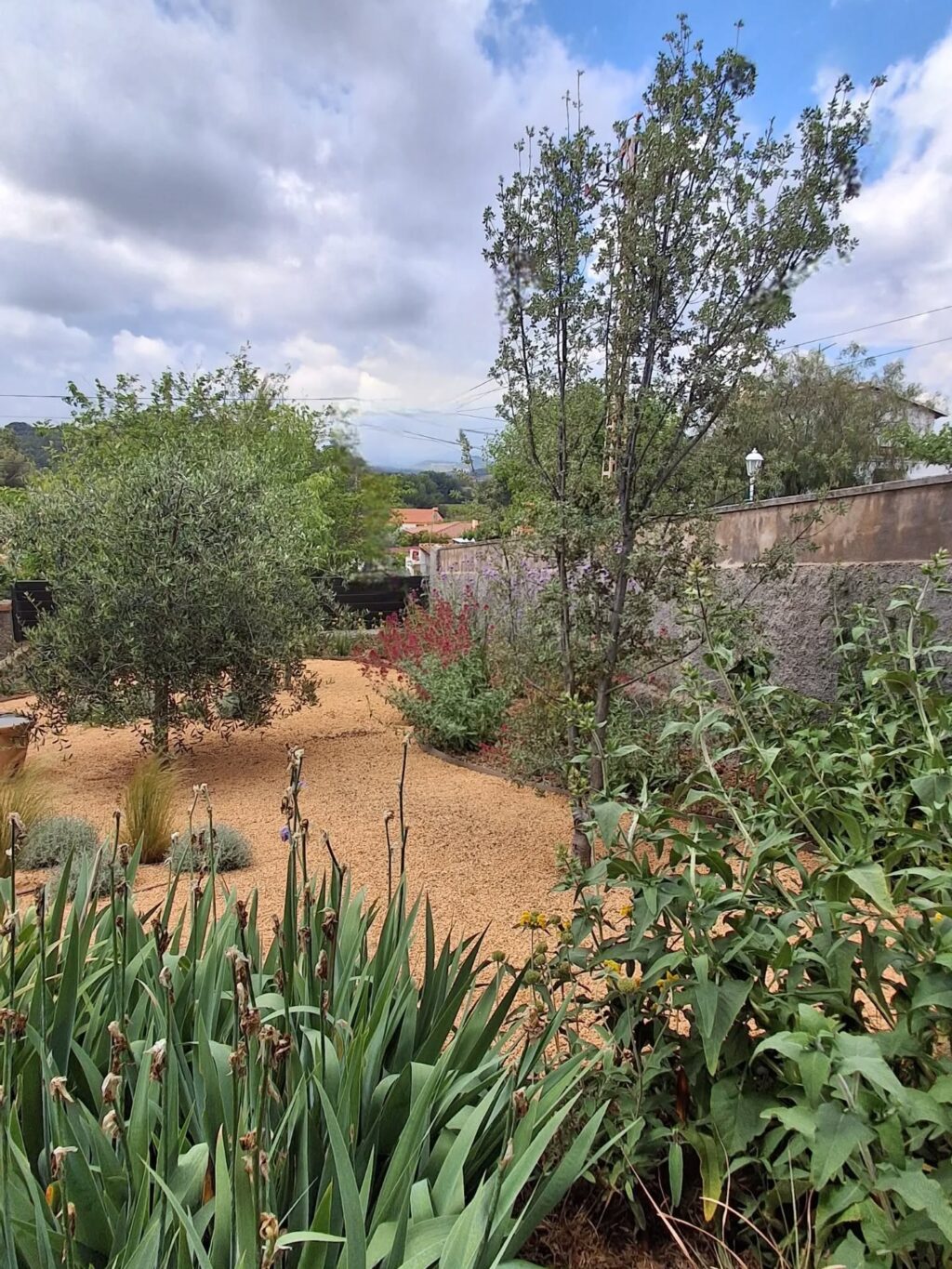 Instagram post from florisimo.jardines. This post is in position 8.