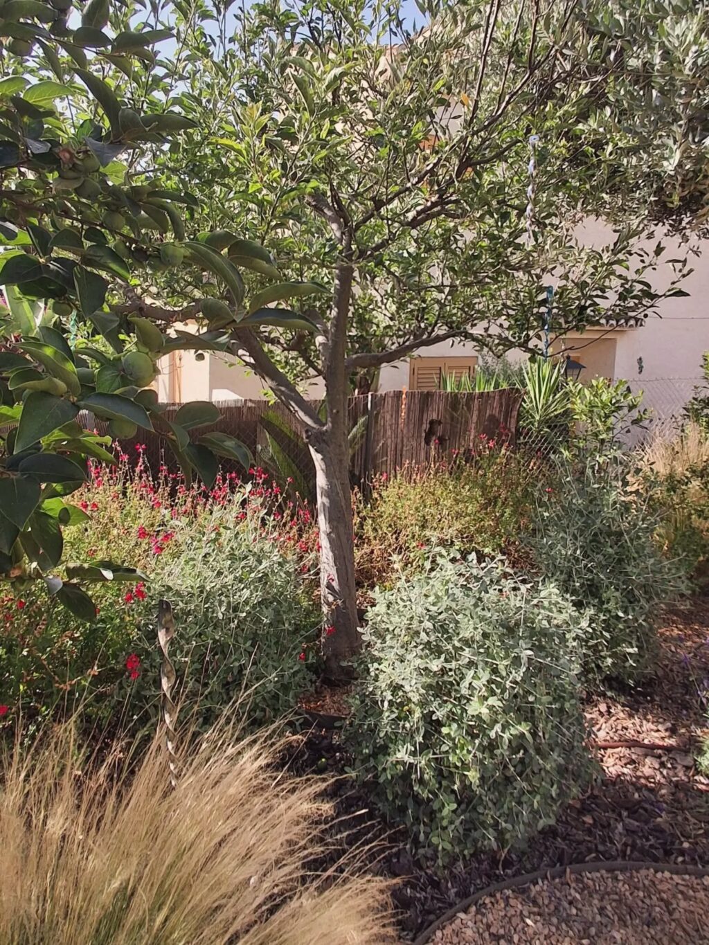 Instagram post from florisimo.jardines. This post is in position 8.