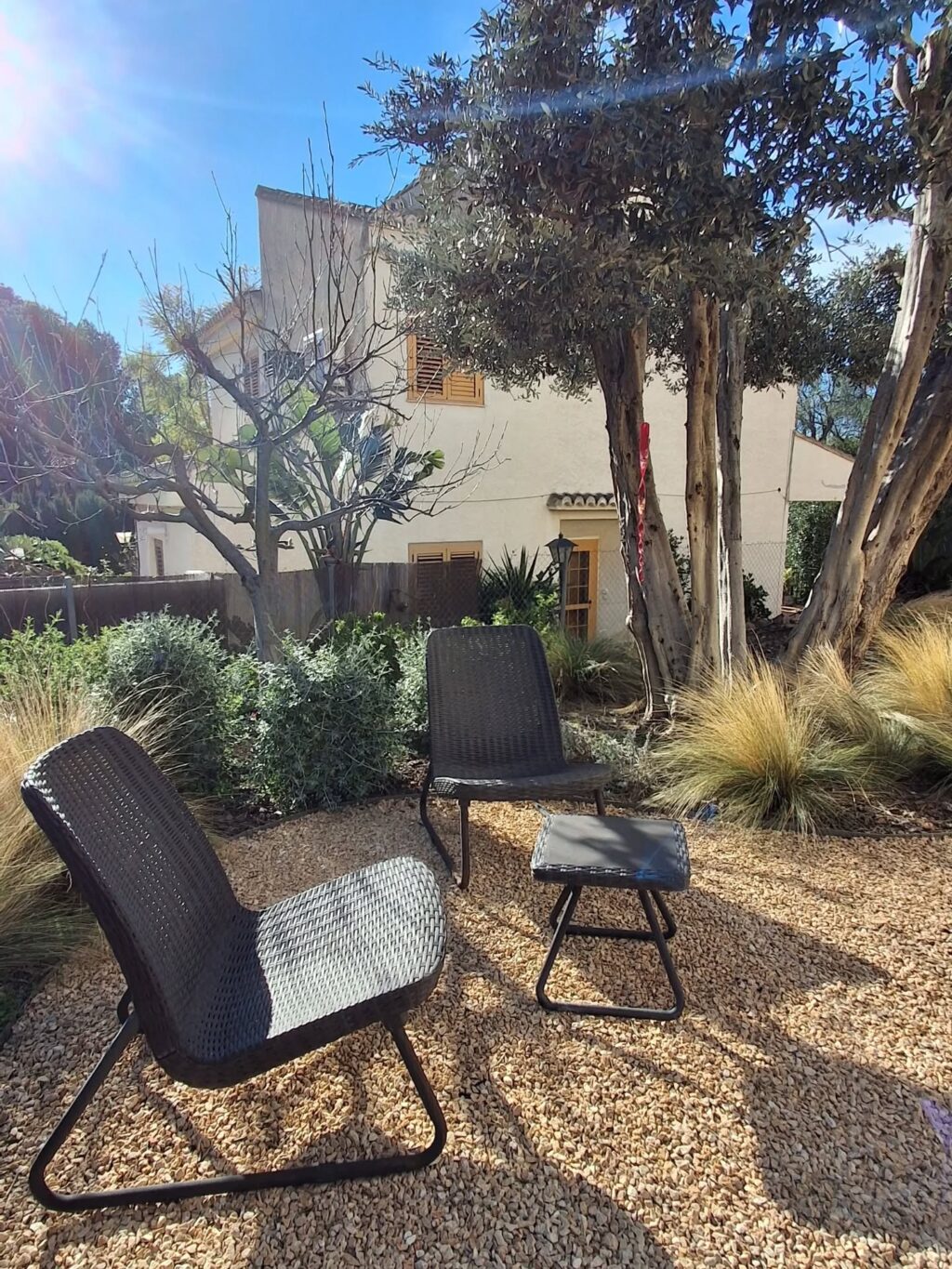 Instagram post from florisimo.jardines. This post is in position 1.