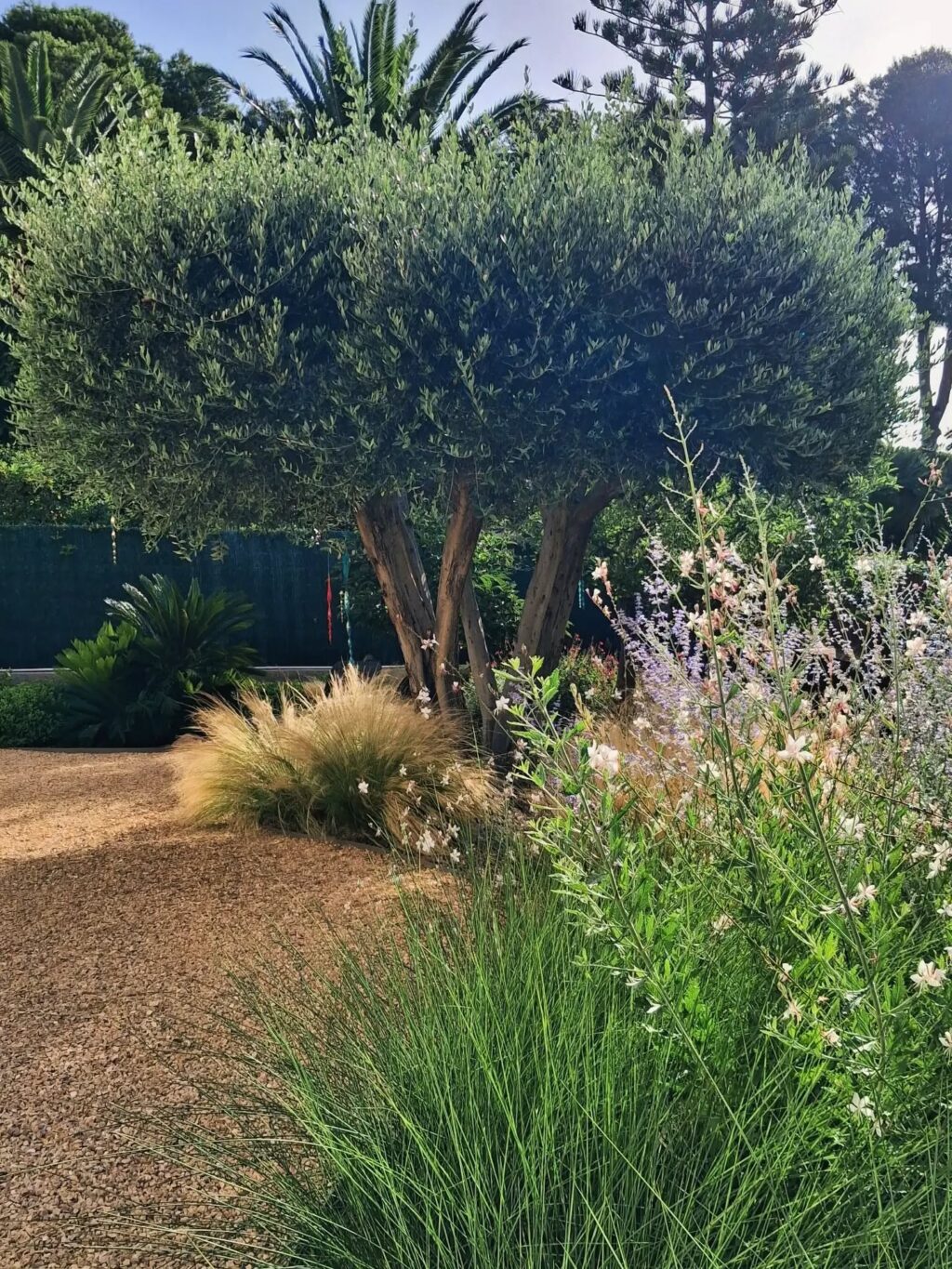 Instagram post from florisimo.jardines. This post is in position 0.