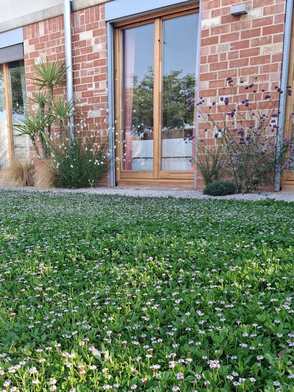 Instagram post from florisimo.jardines. This post is in position 2.