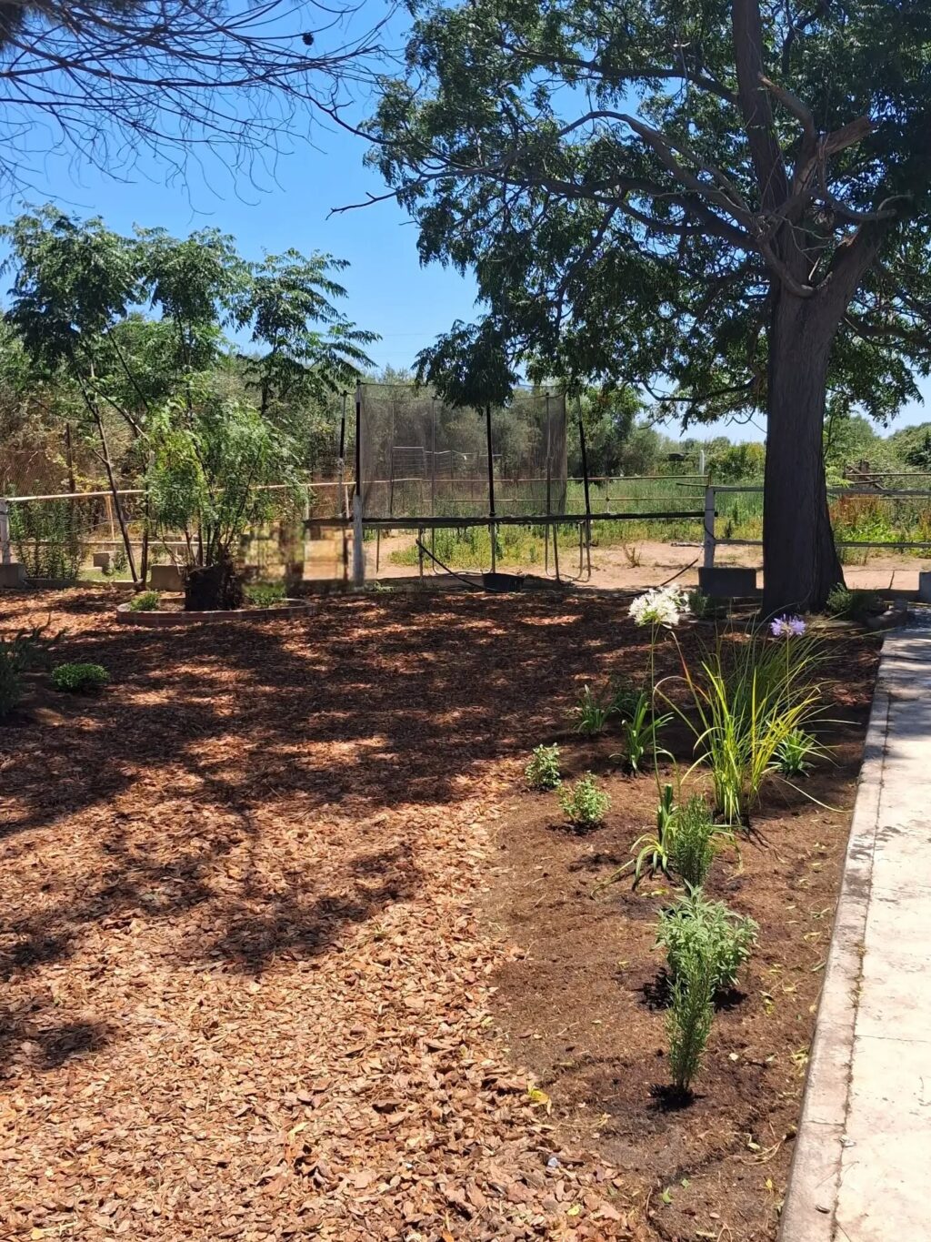 Instagram post from florisimo.jardines. This post is in position 5.