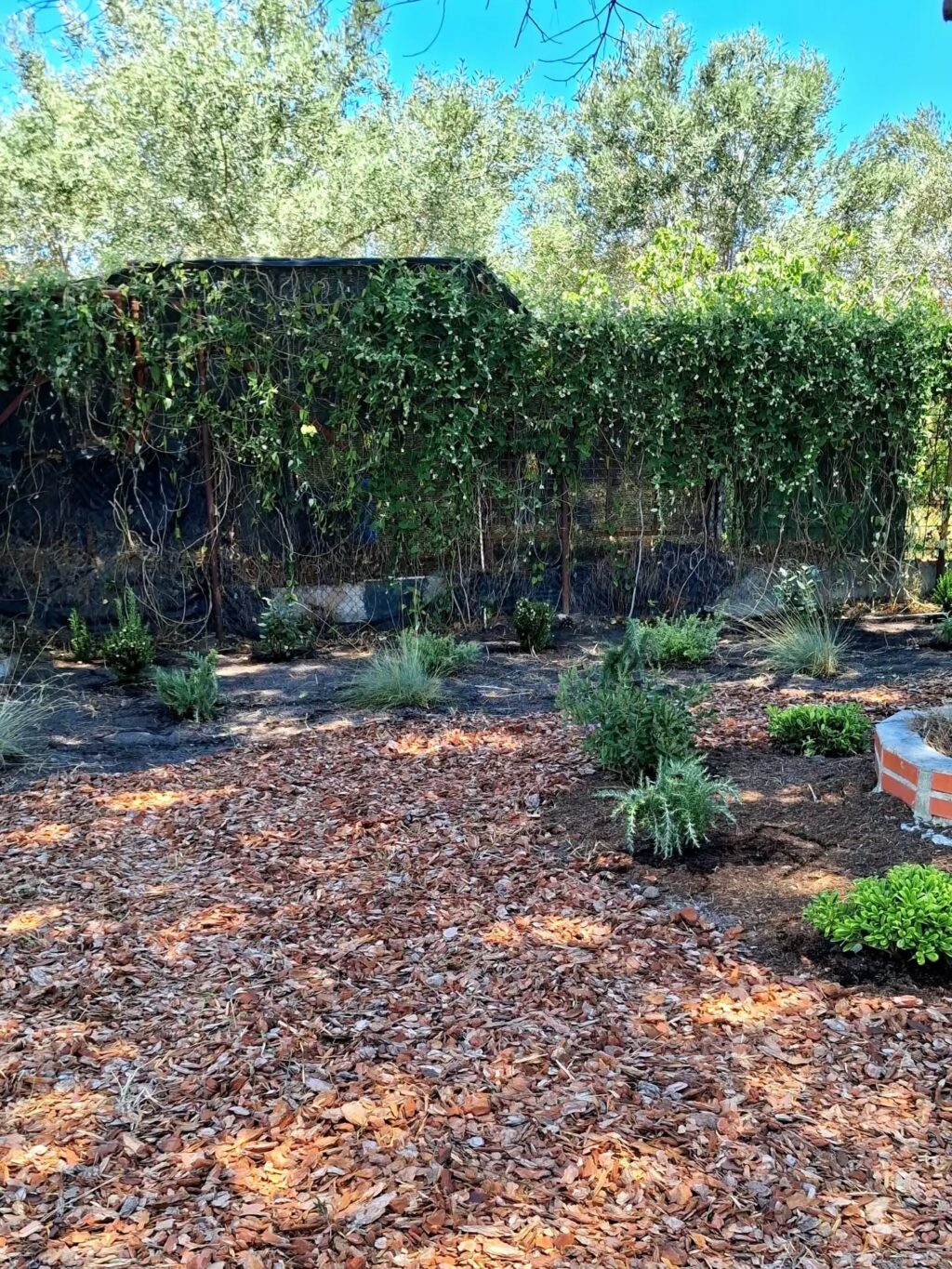 Instagram post from florisimo.jardines. This post is in position 4.
