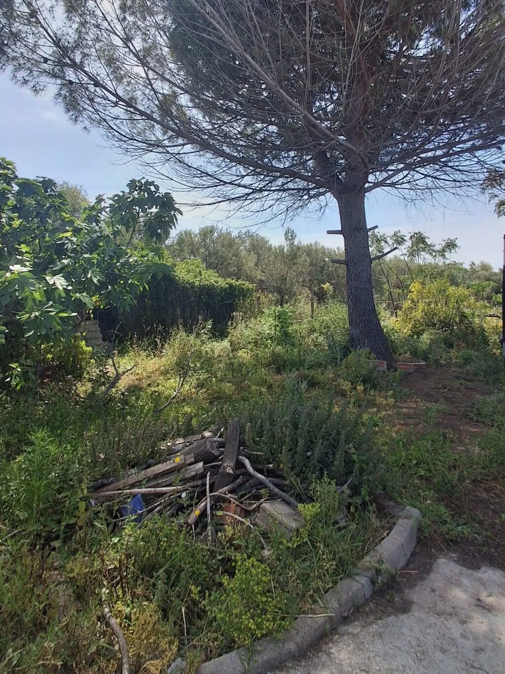 Instagram post from florisimo.jardines. This post is in position 8.