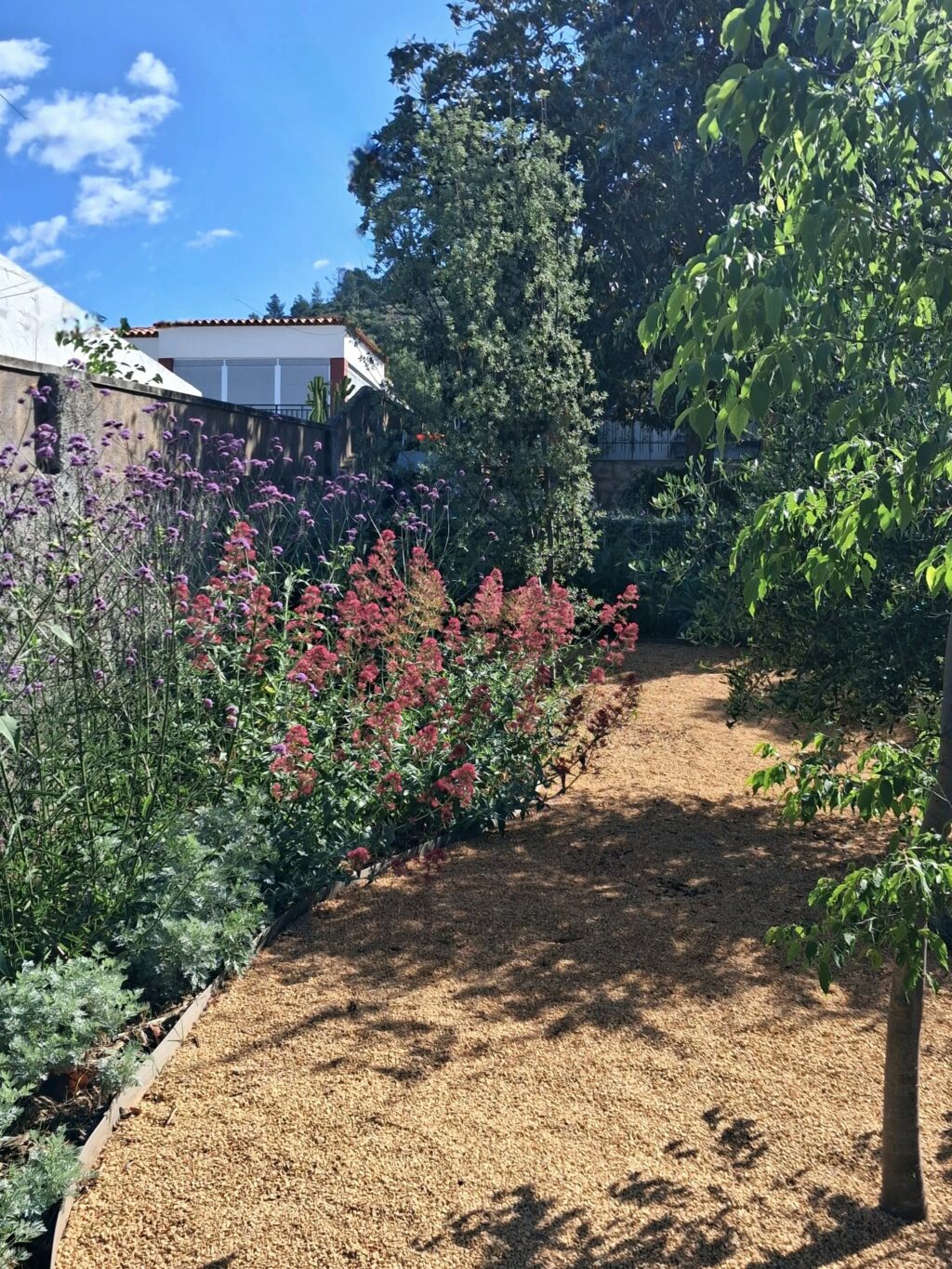 Instagram post from florisimo.jardines. This post is in position 2.