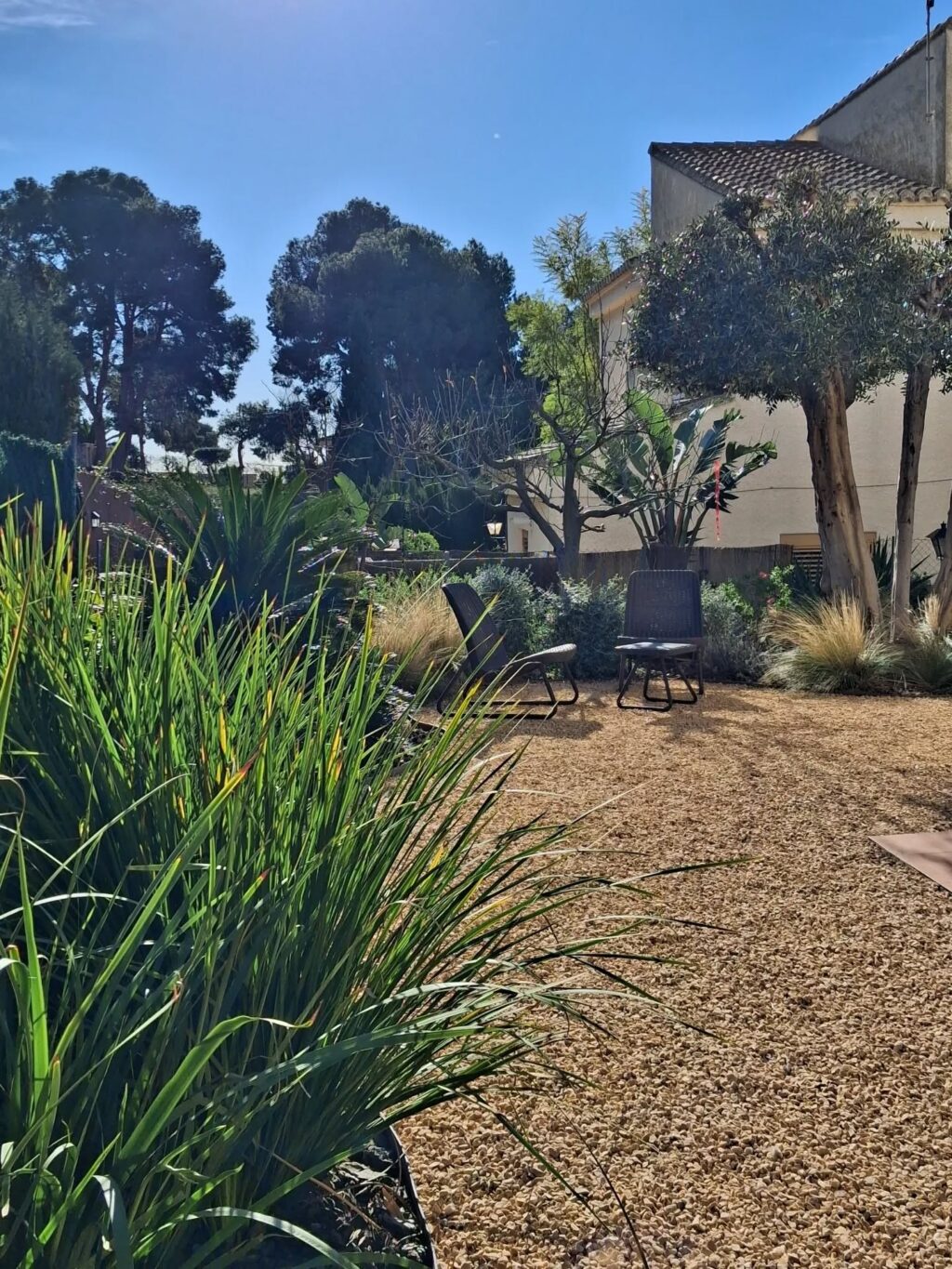 Instagram post from florisimo.jardines. This post is in position 2.