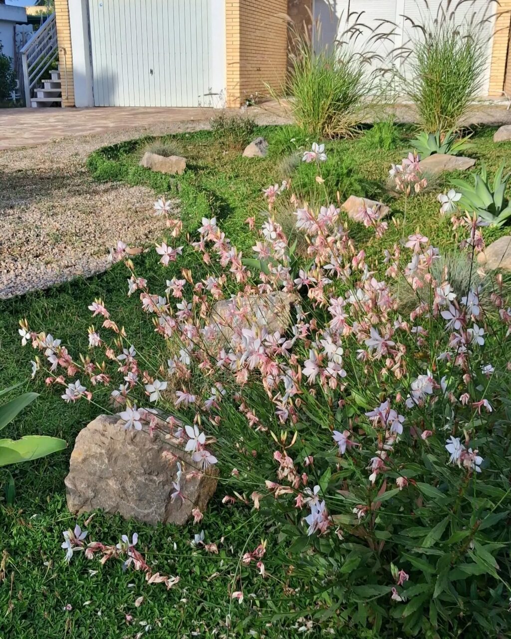Instagram post from florisimo.jardines. This post is in position 3.