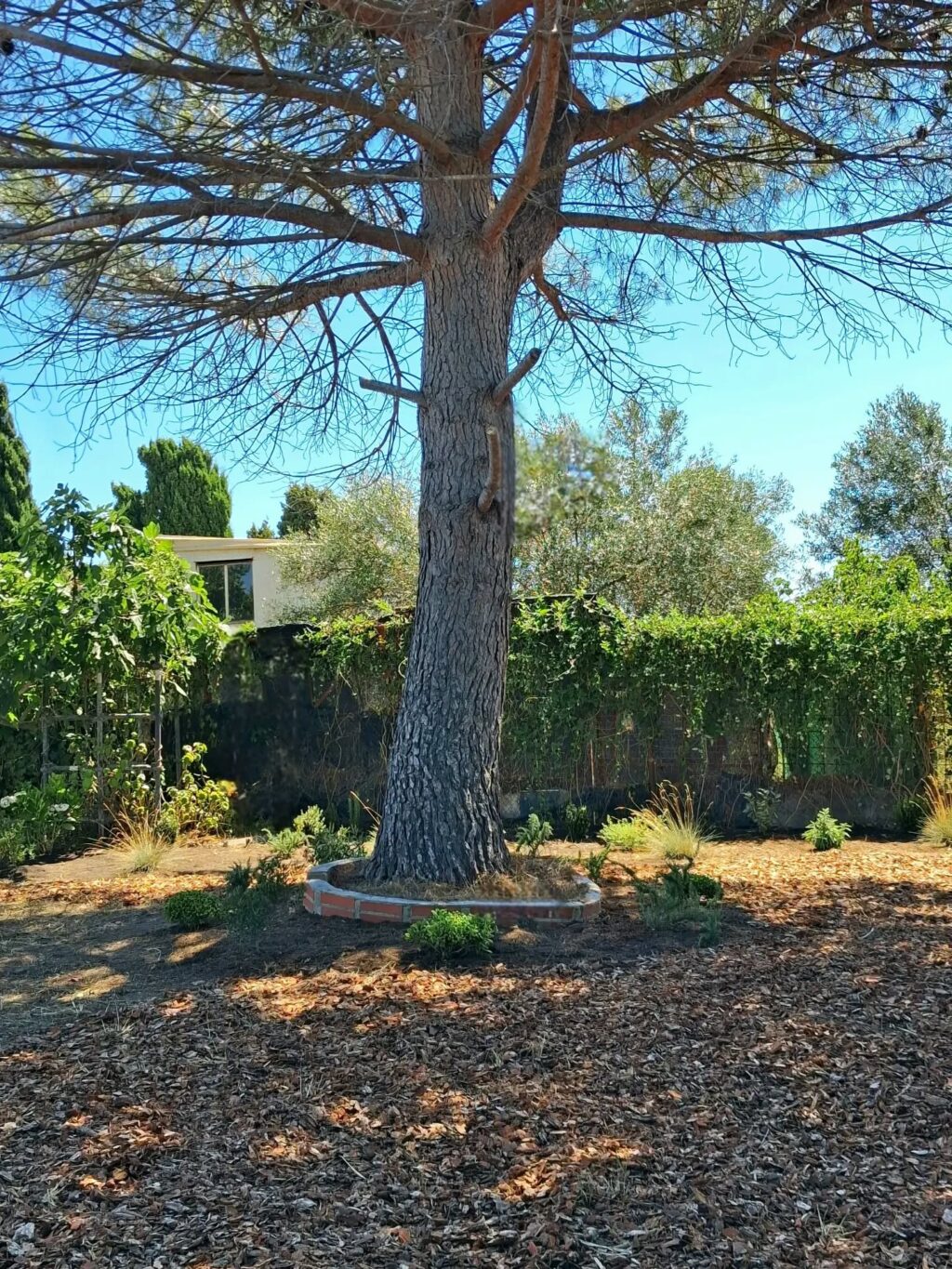 Instagram post from florisimo.jardines. This post is in position 1.