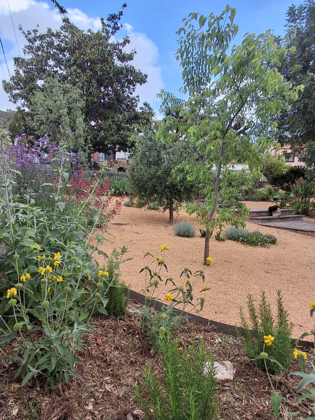 Instagram post from florisimo.jardines. This post is in position 0.
