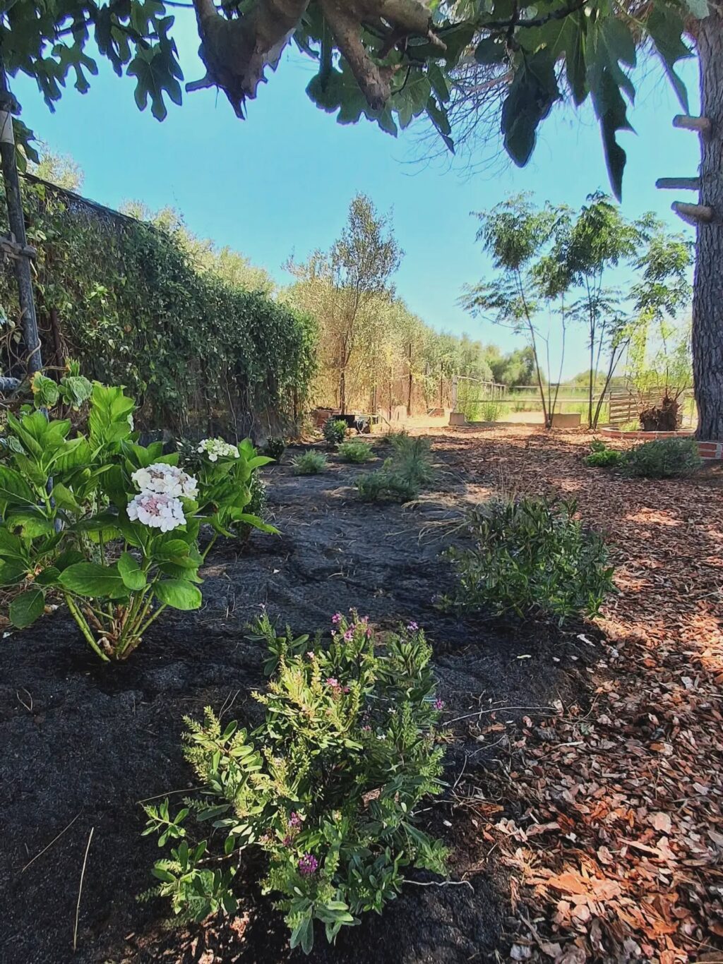 Instagram post from florisimo.jardines. This post is in position 3.