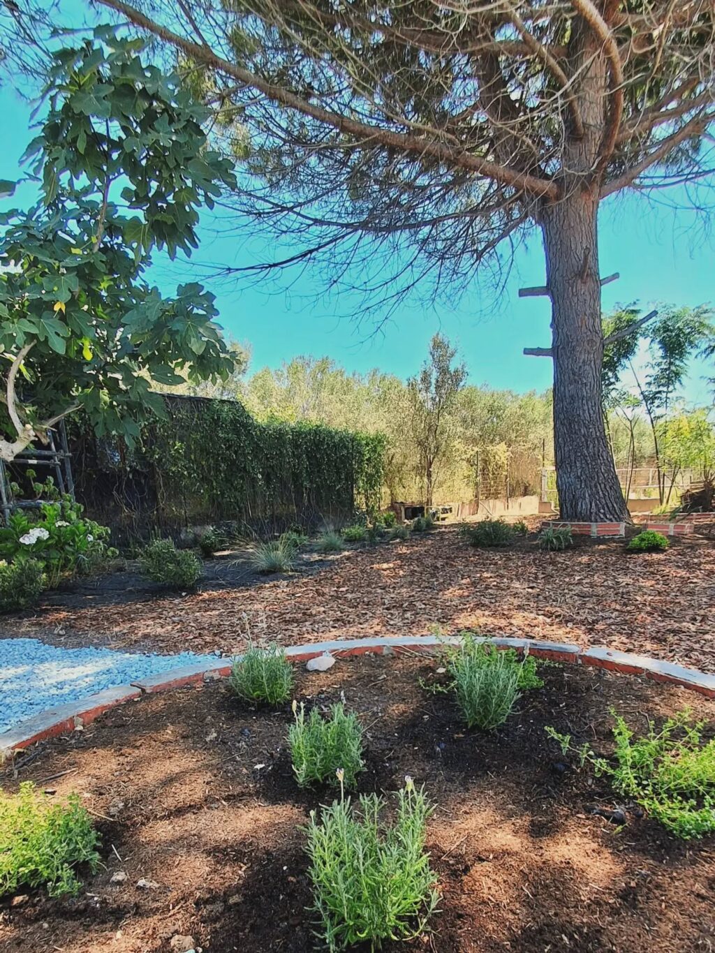 Instagram post from florisimo.jardines. This post is in position 2.