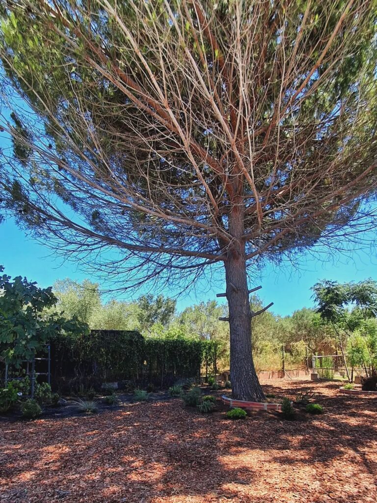Instagram post from florisimo.jardines. This post is in position 2.