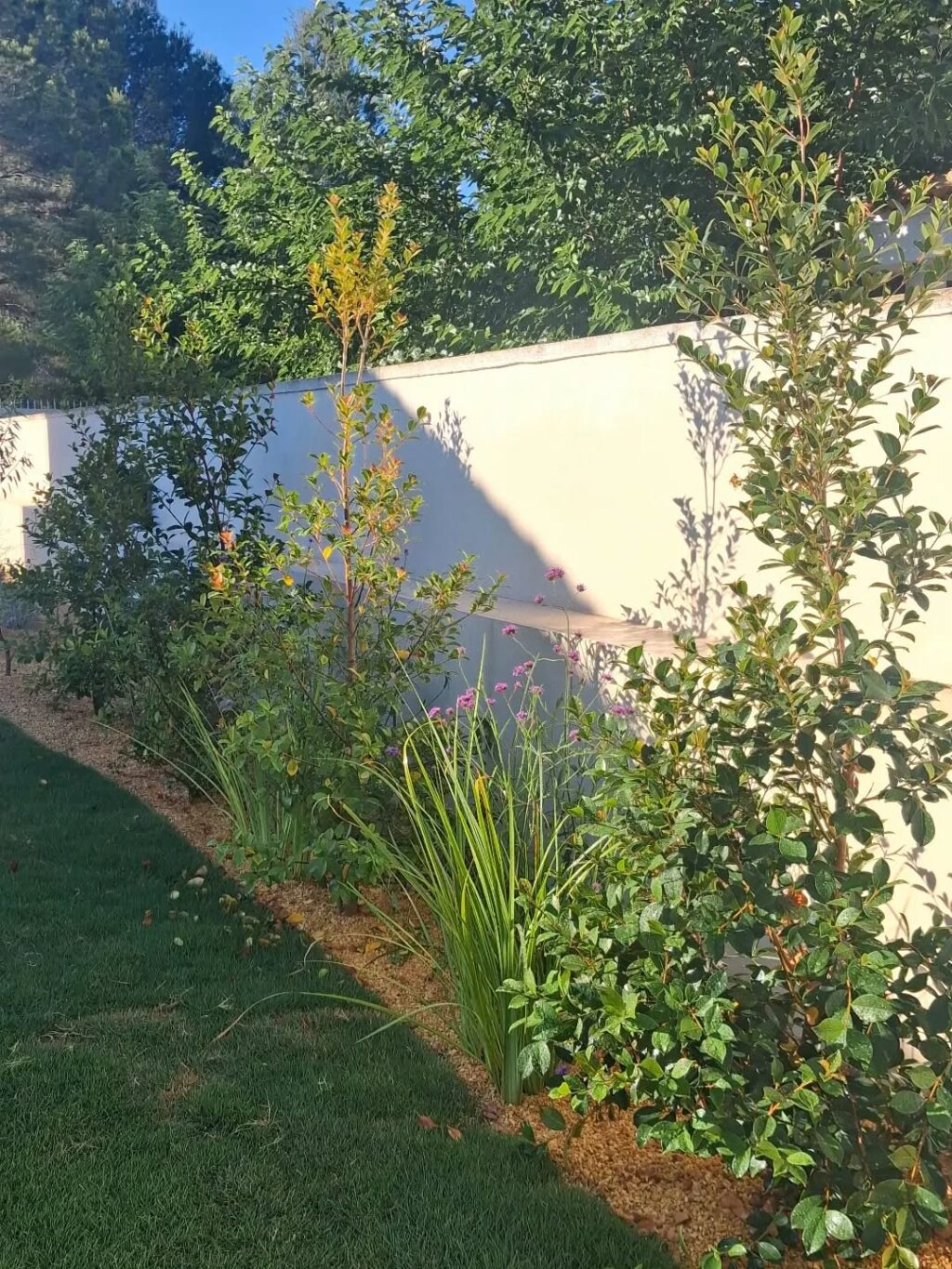 Instagram post from florisimo.jardines. This post is in position 12.